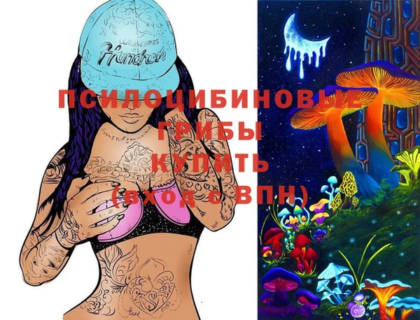 гашик Белокуриха