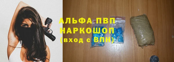 гашик Белокуриха