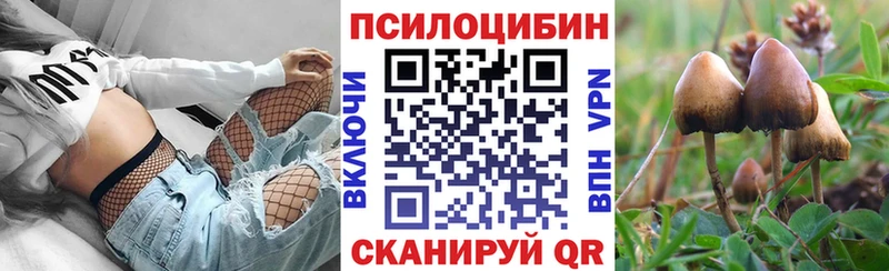 Купить закладки  Ногинск  Псилоцибиновые грибы ЛСД 