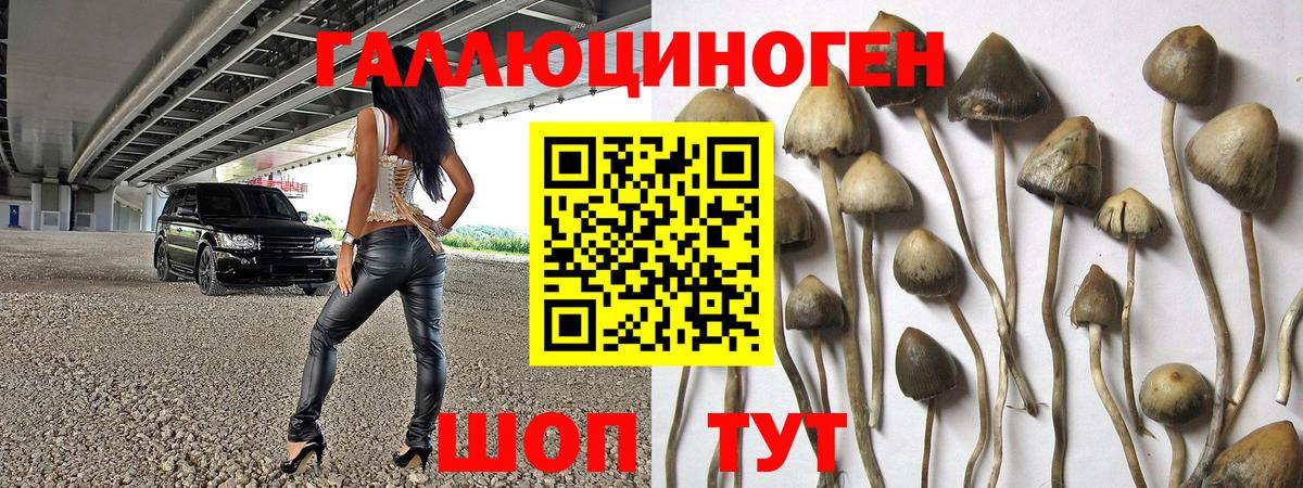 Галлюциногенные грибы мухоморы Ногинск