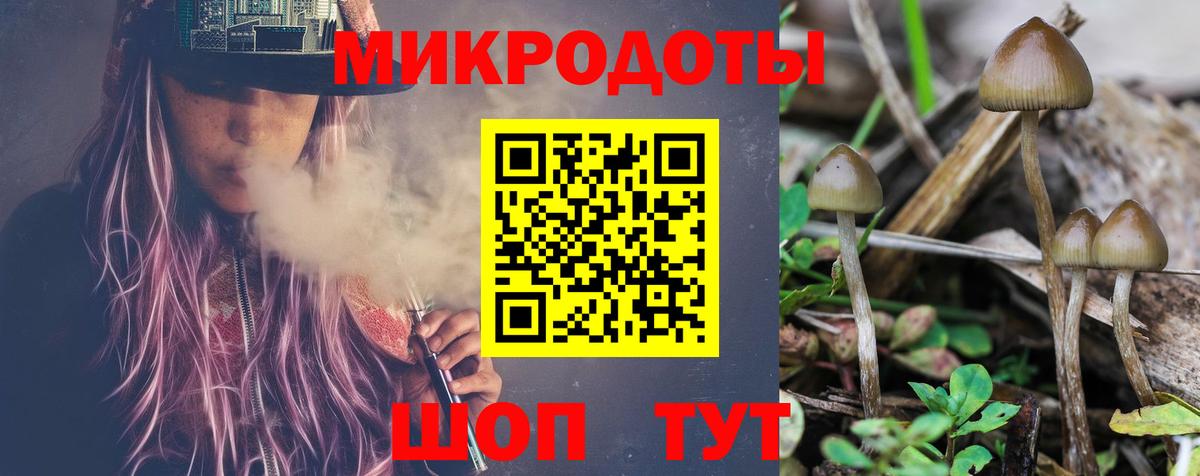 Псилоцибиновые грибы MAGIC MUSHROOMS  Вход с VPN  Псилоцибиновые грибы Magic Shrooms  купить закладку  Ногинск 