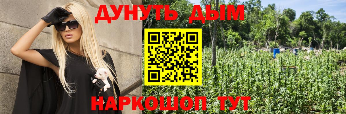 МАРИХУАНА индика  Шишки марихуана AK-47  Ногинск  Бошки Шишки сатива 